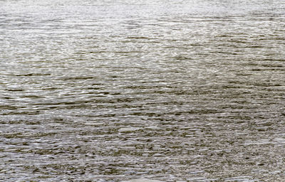 Full frame shot of sea water