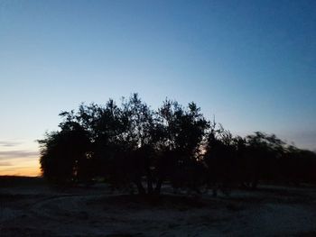 Silhouette trees on landscape against clear sky