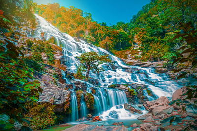 Scenic view of waterfall in forest