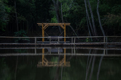 Reflection of trees in lake at forest