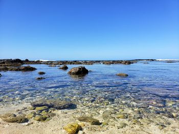 Scenic view of sea against clear blue sky