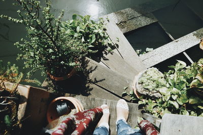 Low section of person by potted plants in yard