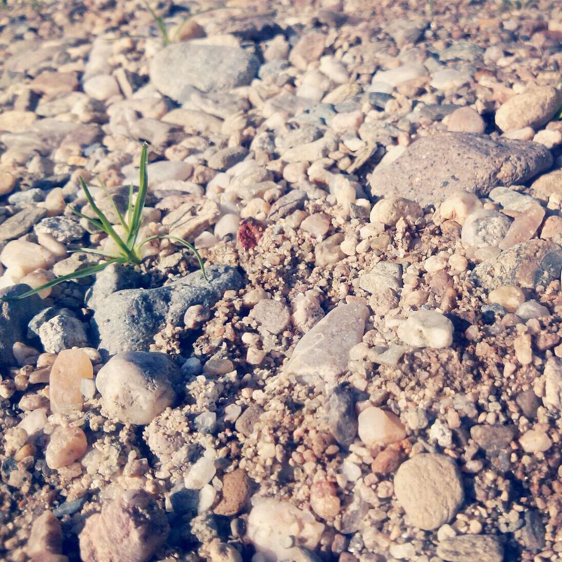 full frame, pebble, high angle view, backgrounds, nature, stone - object, textured, beach, abundance, day, rock - object, close-up, outdoors, no people, sand, dirt, stone, tranquility, field, ground