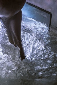 Low section of woman in water