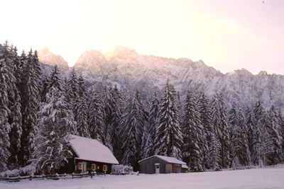 Scenic view of snow covered trees and houses against sky