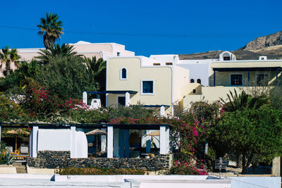 Trees and houses against clear blue sky