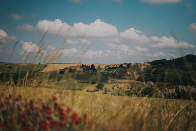 Scenic view of field against sky