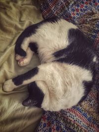 High angle view of cat sleeping on bed