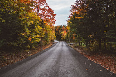 Road amidst trees during autumn