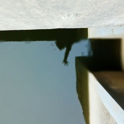 Close-up of tree stump