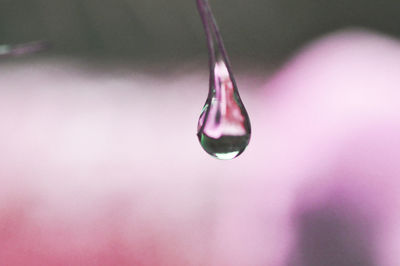 Detail shot of water drop against blurred background