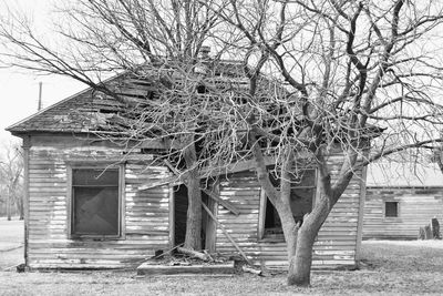 Abandoned house against bare trees