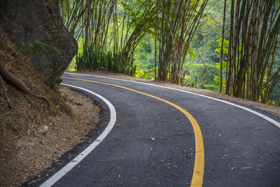 Road amidst trees in forest