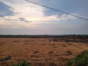 Scenic view of field against sky during sunset