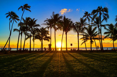 Silhouette palm trees against sky during sunset