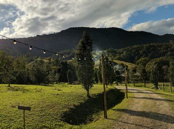 Scenic view of green landscape against sky