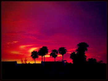 Silhouette palm trees at sunset