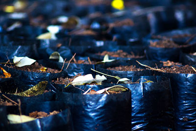 Unused black plastic bag in the garden