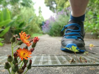 Low section of person wearing flower