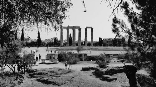 Trees in park against sky