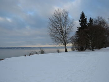 Bare trees on snow covered landscape against sky