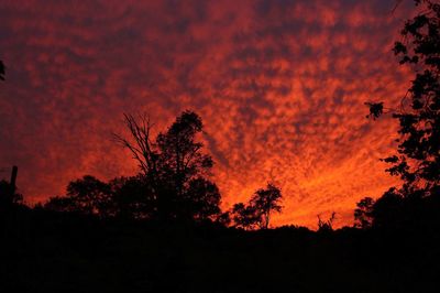 Silhouette trees against sky at sunset