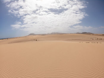 Scenic view of desert against sky