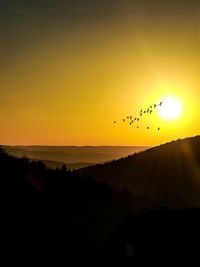 Silhouette birds flying in sky during sunset