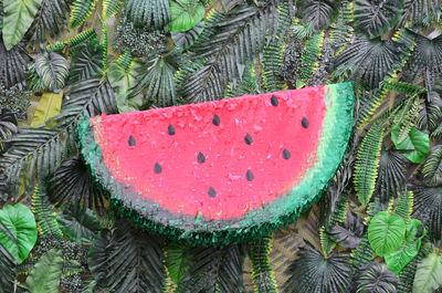 High angle view of strawberry growing on tree