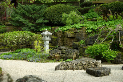 View of cross in garden