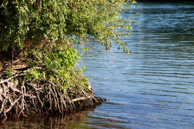 Scenic view of lake