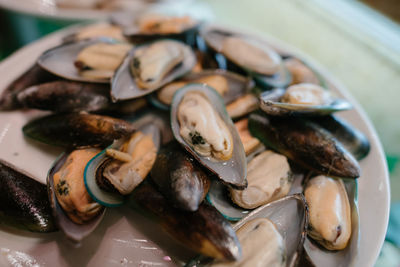 High angle view of shells in plate