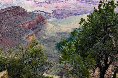 Scenic view of tree mountains