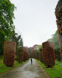 Man in park against clear sky