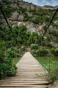 Footbridge amidst trees and mountains