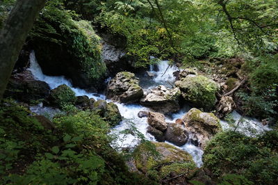 Stream flowing through rocks in forest