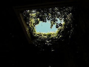 Low angle view of silhouette tree by building against sky