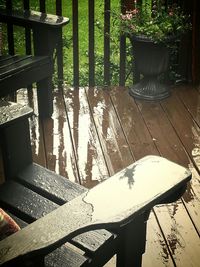 Close-up of tree trunk