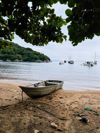 Scenic view of beach