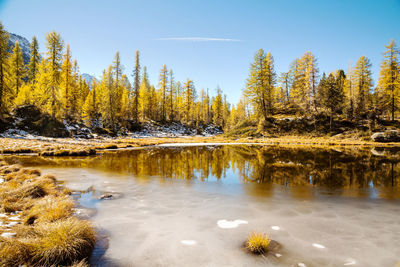 Scenic view of lake in forest against sky