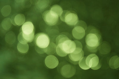 Defocused image of christmas lights