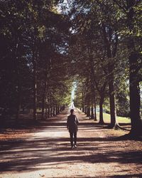 Rear view of woman walking on footpath amidst trees