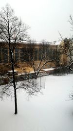 Snow covered trees in winter