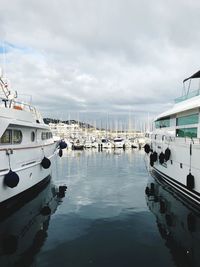 Sailboats moored at harbor