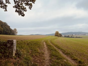 Scenic view of field against sky