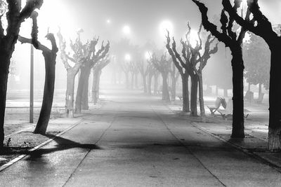 Footpath amidst trees in park in the foggy night