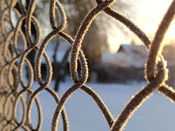 Close-up of chainlink fence against sky