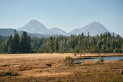 Scenic view of landscape against clear sky