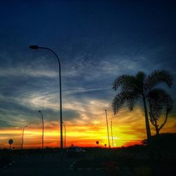 Silhouette of trees at sunset