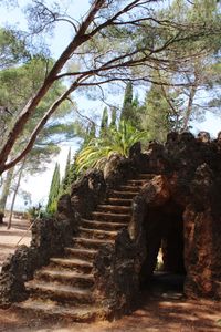 Old ruin amidst trees against sky